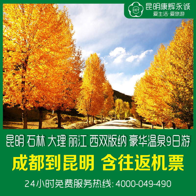 成都到云南双飞旅游昆明 石林 大理 丽江 西双版纳豪华温泉9日游 成都到云南双飞旅游昆明 石林 大理 丽江 西双版纳豪华温泉9日游