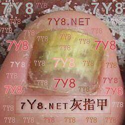 ��7Y8.NETָ��ˮ�� 7Y8��ָ��ˮ ���ҳ��� �������ף�12ML �۸�:45.00
