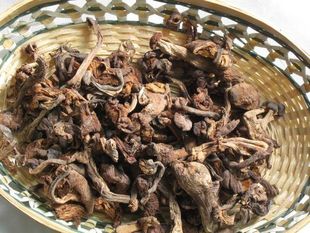  龙铭申 东北著名特产/长白山特产/野生蘑菇/野生榛蘑 1斤包邮