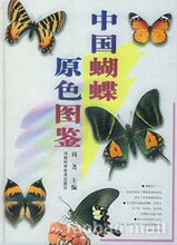 中国蝴蝶原色图鉴
