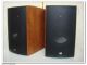 PSB Alpha B1监听书架箱