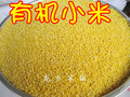 农家自种新鲜有机小米-无化肥无农药-新谷清香熬出米油 月子米