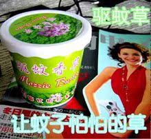 663批~夏季热销~盆式精装驱蚊草 让蚊子怕怕的草哦~