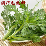 18元 小叶茼蒿种子 菊花菜 庭院阳台植物盆栽蔬菜蔬果种子籽