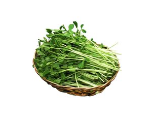  中国有机绿色食品专营 天地生 豆苗500g 北京满百包邮