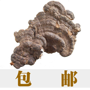  包邮顶级野生青灵芝青芝树舌灵芝 便血崩漏利尿前列腺痔疮 250g