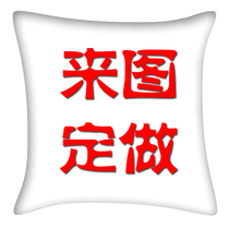 大抱枕 来图定制 定做 双面彩印 2-3
