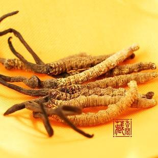  藏香阁正品年虫草 同仁堂级别西藏那曲野生冬虫夏草 5-6根/克