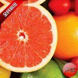 南非葡萄柚/南非西柚/新鲜水果/孕妇 10个江浙沪包邮 孩子满月 普天同庆 一流的售后 无后顾之忧