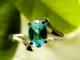 清亮闪闪的天然纯净蓝黄玉(托帕石)戒指