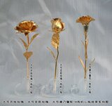 正品大号送老婆爱人母亲妈妈生日礼物金康乃馨金箔玫瑰黄金玫瑰花