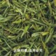 黄山茶叶 08年绿茶--黄山毛峰(早春嫩芽)
