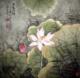 精品国画艺术品 工笔花鸟 荷花