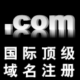 宝宝美工馆-网站建设-国际顶级域名注册