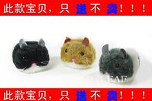 此款宝贝，只送不卖！自己会跑的超级精美的小老鼠！猫玩具