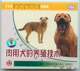 城城图书肉用犬的养殖技术1VCD100%正版