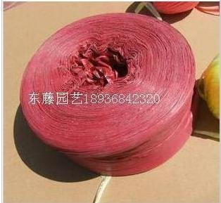 出售 撕裂带/捆扎绳/塑料绳子/打包绳/打包带绳子/在类目 鲜花速递/花卉仿真/绿植园艺, 园艺用品, 打草绳等其他绳子中 - 来自Buy2taobao.com提供专业的淘宝代购服务