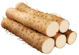  天地生精品蔬菜 山药500g 北京满百包邮