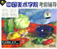 中国美术学院考前辅导色彩静物2VCD