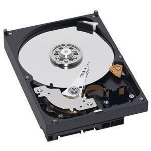 西数1T硬盘 WD10EARS 支持高级格式化 64M缓存 三年免费质保