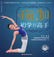 瑜伽：初学到高手（附赠同步练习DVD）（资深瑜伽导师韩俊女士亲