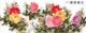 六尺牡丹-花开富贵 DMC套件
