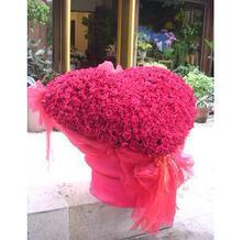北京花店 实体 北京鲜花速递 特价生日鲜花礼品 红玫瑰花束ff41