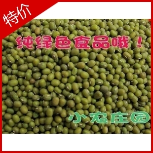 農家深山自種 五谷雜糧 豆子 綠豆 生綠豆芽在類目 糧油米麪/南北乾貨/調味品, 米/麪粉/雜糧, 豆類, 綠豆中 - 來自Buy2taobao.com提供專業的淘寶代購服務