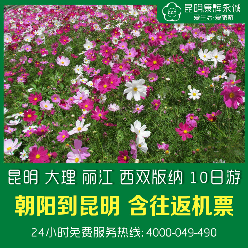 辽宁朝阳到云南旅游双飞昆明 大理 丽江玉龙雪山 西双版纳10日游 辽宁朝阳到云南旅游双飞昆明 大理 丽江玉龙雪山 西双版纳10日游