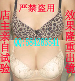 大可以中药丰胸文胸/最新丰胸产品/丰胸内衣/送丰胸精油