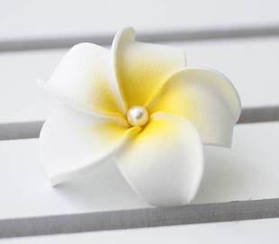  鸡蛋色新娘头饰结婚新娘饰品 头花 两款入 婚礼发饰 4533