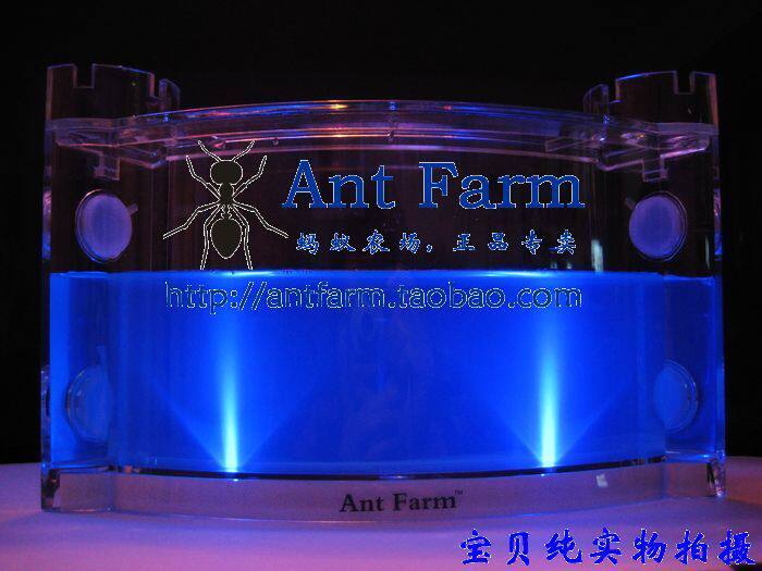 超大号蚂蚁农场+背景灯+30工蚁、蚂蚁城堡、蚂蚁工坊、蚂蚁工房