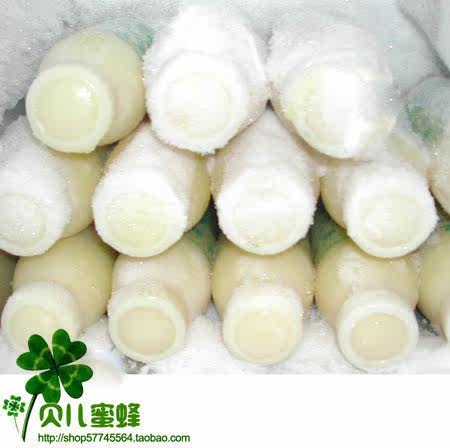 贝儿/2011年春浆蜂王浆自家现挖新鲜纯天然春浆蜂皇浆特价促销中