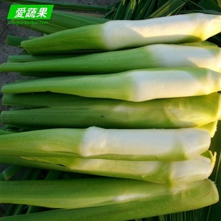  【爱蔬果】绿色食品新鲜蔬菜 茭白 茭白瓜 茭瓜 北京配送