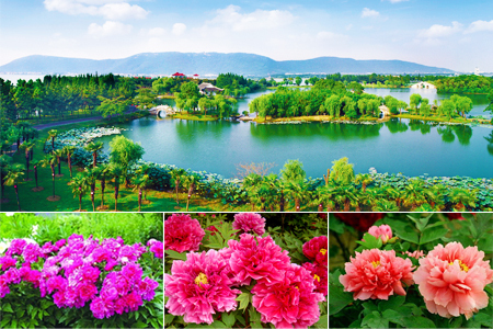 江苏旅游常熟美豪尚湖踏春2天1晚双人自由行套餐飞票C1450208 江苏旅游常熟美豪尚湖踏春2天1晚双人自由行套餐飞票C1450208