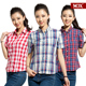 夏季新品2012MJX时尚休闲纯棉桃皮绒短袖衬衫 女士衬衣