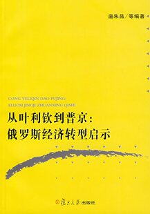 从叶利钦到普京：俄罗斯经济转型启示 唐朱昌 复旦大学出版社