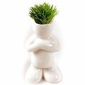 小白人草娃娃 桌面植物 迷你盆栽 植物盆栽 DIY青草种植/站款