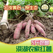 农家自产新鲜红薯2500G小番薯生地瓜山芋 洪湖原生粗粮蔬菜