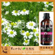 BESTOIL比奥纯水溶性植物精华洋甘菊花水纯露