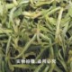 黄山茶叶08年-黄山毛峰