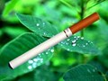 A528 国货精品 正品龙牌电子烟 戒烟产品视频介绍 假一罚十