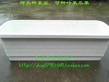 蔬菜瓜果月季适用 长条盆 特大种菜盆 长方形树脂塑料大花盆 2.2k