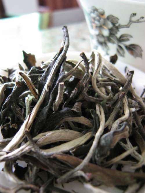 零食,坚果,茶叶,特产普洱茶,茶饼,茶砖老仓,云南