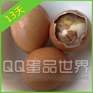  冲四钻促销 活珠鸡宝 活珠子 健康鸡胚蛋 旺鸡蛋 凤凰蛋/喜蛋13天