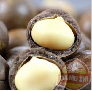  坚果皇后 提高大脑发育 夏威夷果250g 特适合孕妇儿童 配送钥匙
