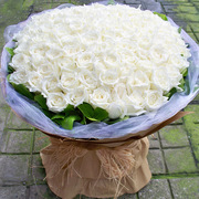 生日爱人女友老婆，鲜花速递上海同城速递99朵白玫瑰，花束花店买花