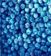大兴安岭野生蓝莓新鲜蓝莓，蓝莓果加果汁蓝莓鲜果，500克果汁240克