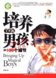 培养了不起男孩的100个细节/云晓/&nbsp;不打不骂教孩子/正版书籍
