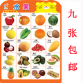 挂图 婴儿幼儿早教启蒙挂图宝宝认知识字挂图识字卡片双面9张包